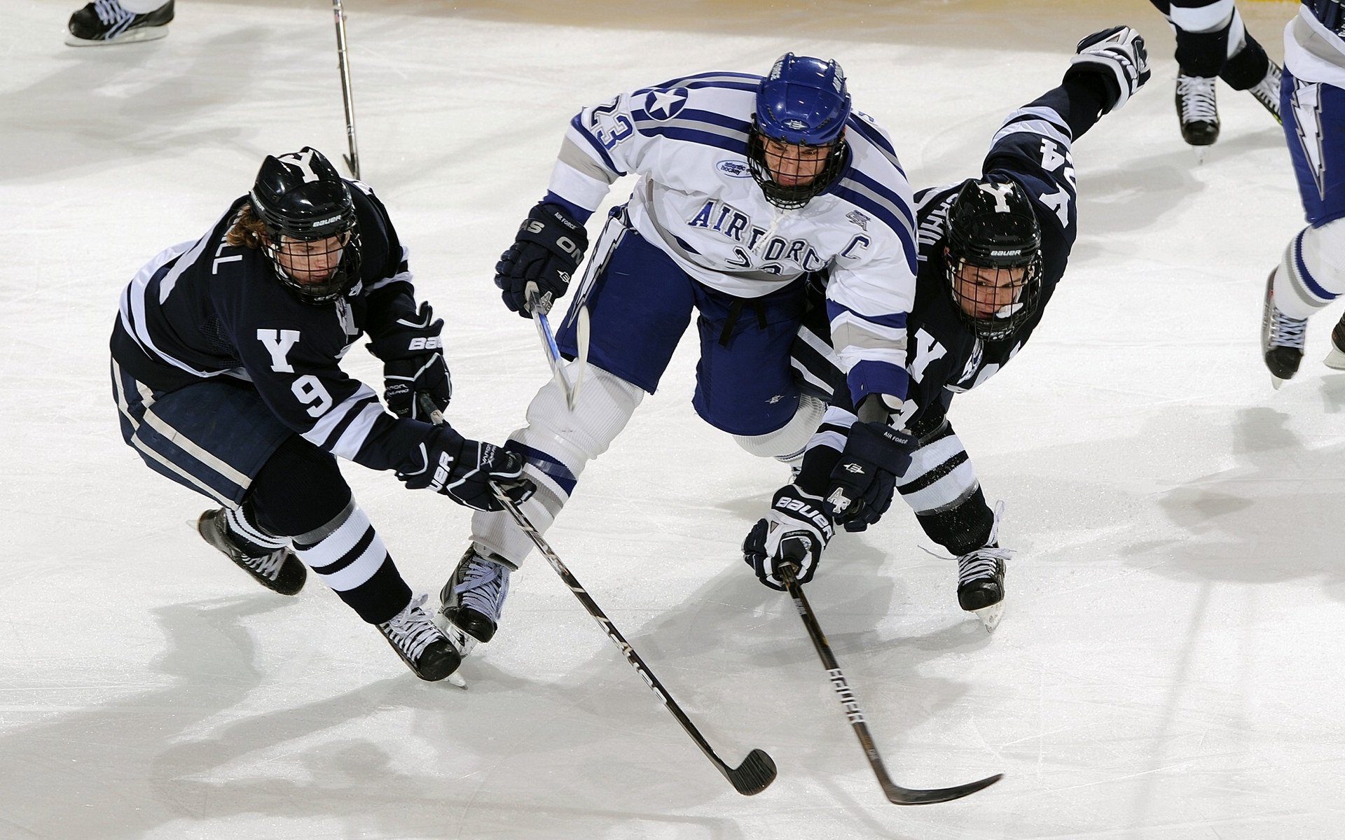 _高校运动会：青春追梦的炽热现场_，高校运动会开幕式视频