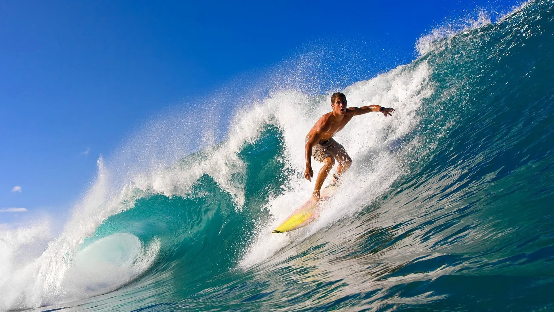 足球摄影展在国家体育馆成功举办，足球摄影记者